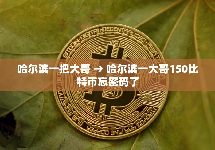 哈尔滨一把大哥 → 哈尔滨一大哥150比特币忘密码了