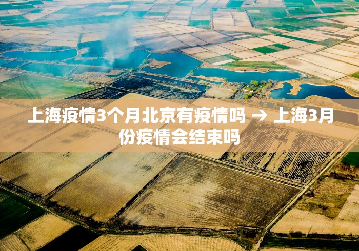 上海疫情3个月北京有疫情吗 → 上海3月份疫情会结束吗