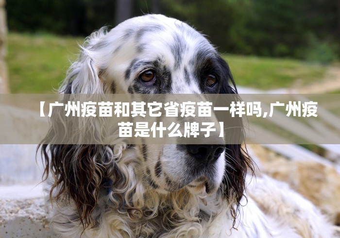 【广州疫苗和其它省疫苗一样吗,广州疫苗是什么牌子】