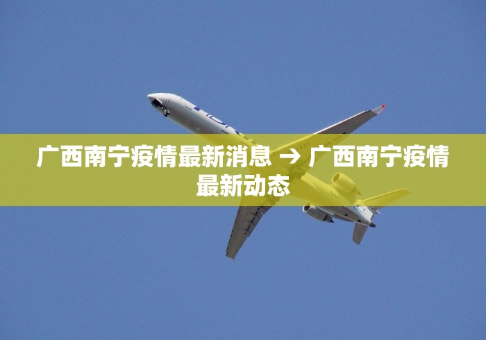 广西南宁疫情最新消息 → 广西南宁疫情最新动态
