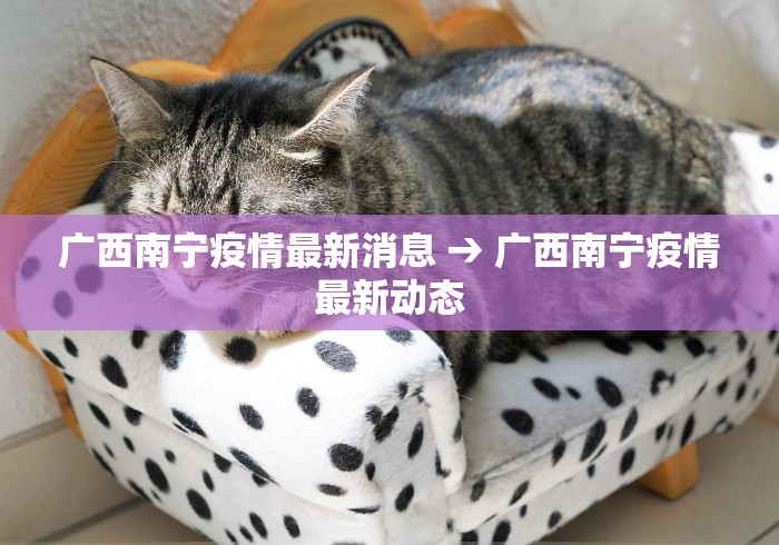 广西南宁疫情最新消息 → 广西南宁疫情最新动态