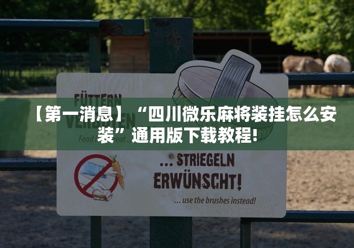 【第一消息】“四川微乐麻将装挂怎么安装”通用版下载教程!