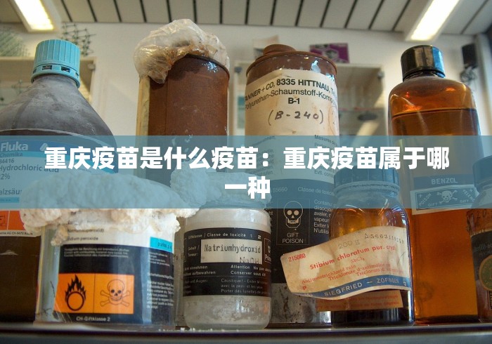 重庆疫苗是什么疫苗:重庆疫苗属于哪一种 重庆疫苗是什么疫苗:重庆疫苗属于哪一种