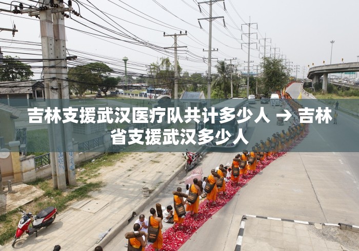 吉林支援武汉医疗队共计多少人 → 吉林省支援武汉多少人