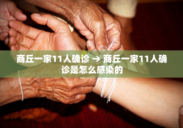 商丘一家11人确诊 → 商丘一家11人确诊是怎么感染的