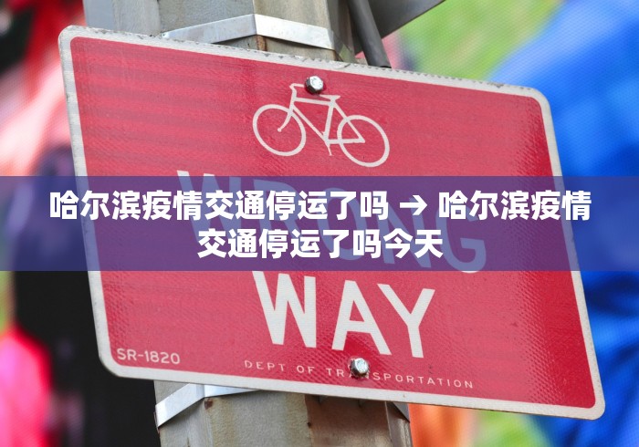 哈尔滨疫情交通停运了吗 → 哈尔滨疫情交通停运了吗今天