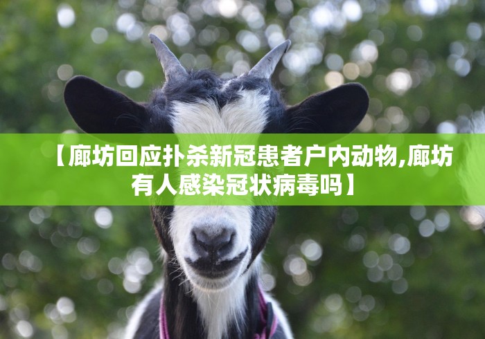 【廊坊回应扑杀新冠患者户内动物,廊坊有人感染冠状病毒吗】