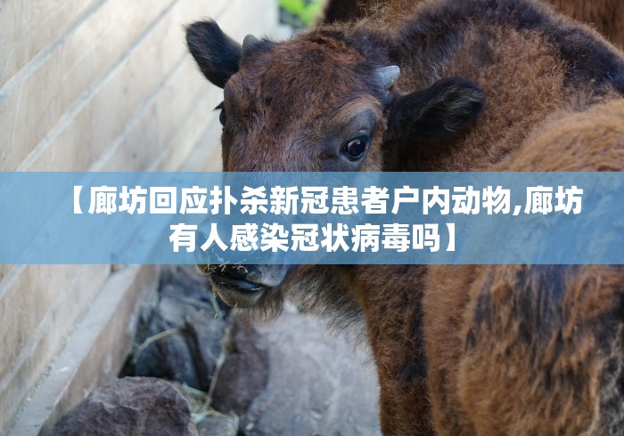 【廊坊回应扑杀新冠患者户内动物,廊坊有人感染冠状病毒吗】