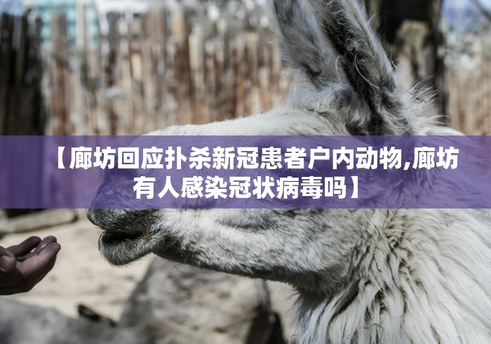 【廊坊回应扑杀新冠患者户内动物,廊坊有人感染冠状病毒吗】