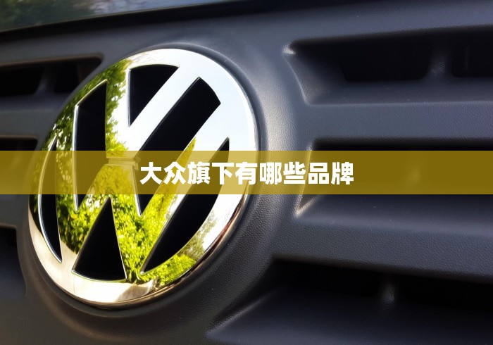 大众旗下有哪些品牌
