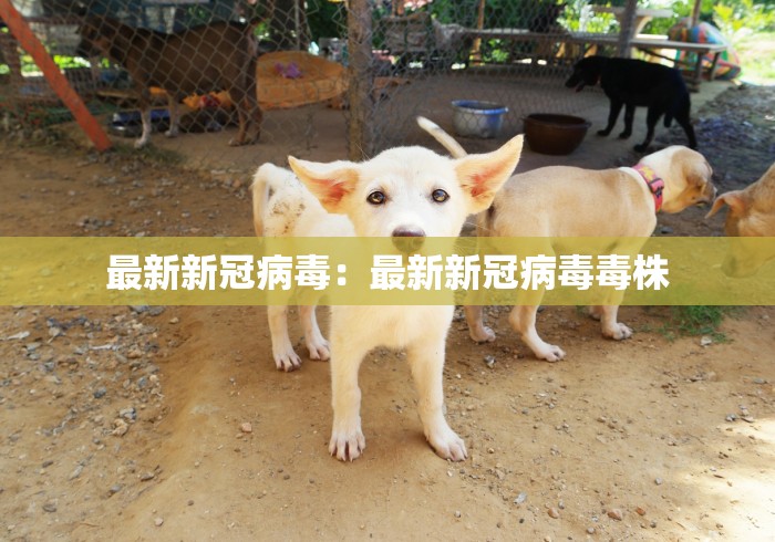最新新冠病毒：最新新冠病毒毒株