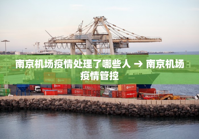 南京机场疫情处理了哪些人 → 南京机场疫情管控