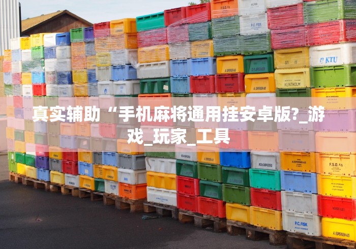 真实辅助“手机麻将通用挂安卓版?_游戏_玩家_工具