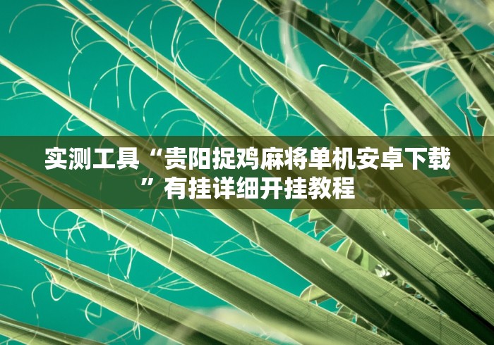 实测工具“贵阳捉鸡麻将单机安卓下载”有挂详细开挂教程