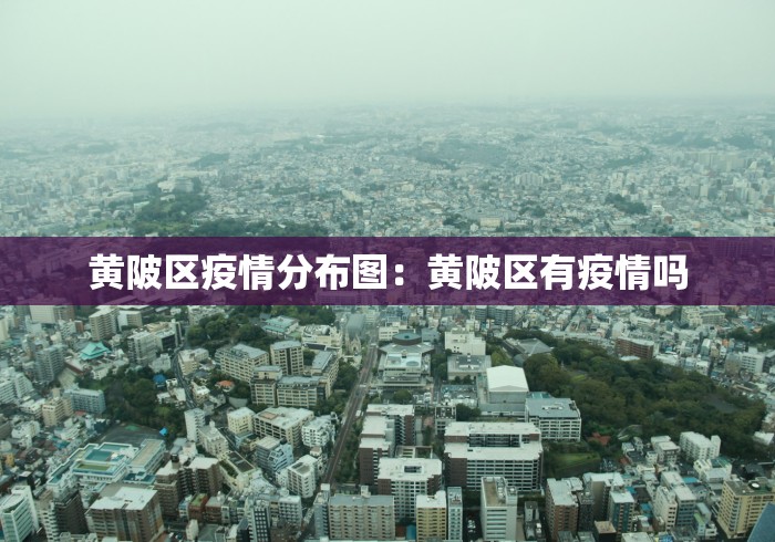 黄陂区疫情分布图：黄陂区有疫情吗
