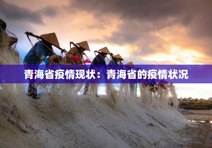 青海省疫情现状：青海省的疫情状况
