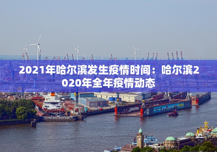 2021年哈尔滨发生疫情时间：哈尔滨2020年全年疫情动态