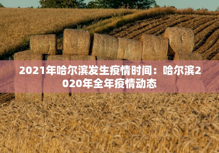 2021年哈尔滨发生疫情时间：哈尔滨2020年全年疫情动态