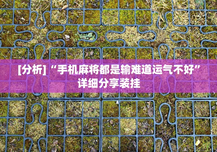 [分析]“手机麻将都是输难道运气不好”详细分享装挂