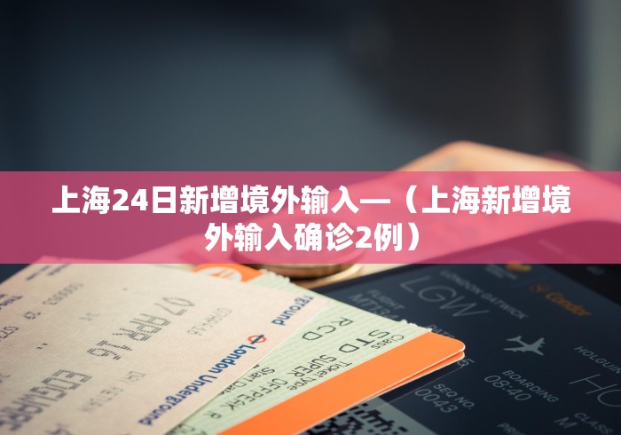 上海24日新增境外输入—（上海新增境外输入确诊2例）