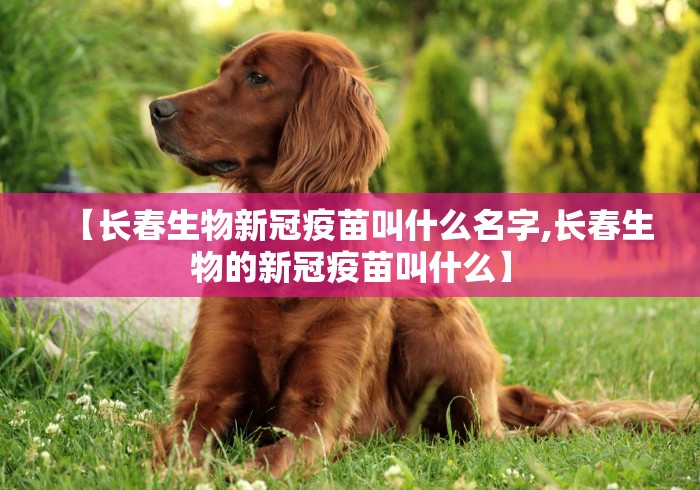 【长春生物新冠疫苗叫什么名字,长春生物的新冠疫苗叫什么】