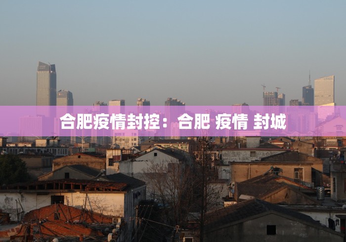合肥疫情封控：合肥 疫情 封城