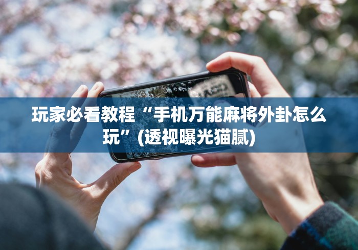 玩家必看教程“手机万能麻将外卦怎么玩”(透视曝光猫腻)