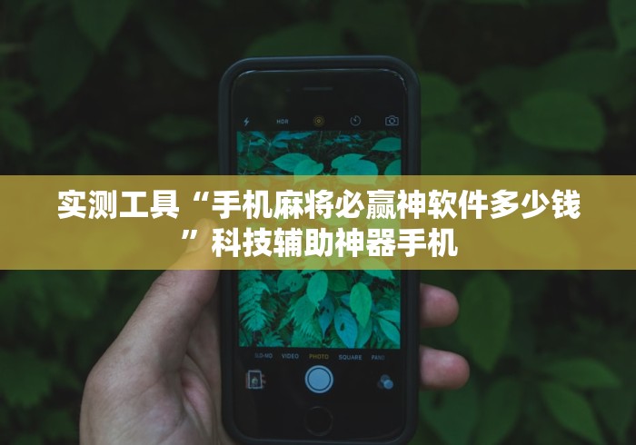 实测工具“手机麻将必赢神软件多少钱	”科技辅助神器手机