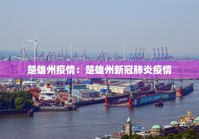 楚雄州疫情：楚雄州新冠肺炎疫情