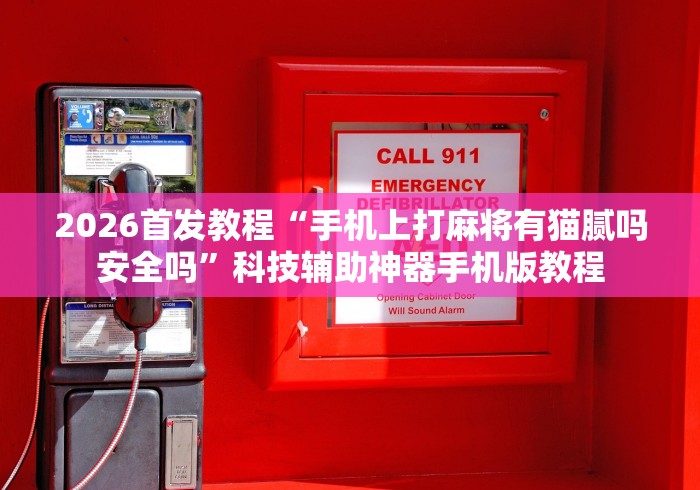 2026首发教程“手机上打麻将有猫腻吗安全吗”科技辅助神器手机版教程