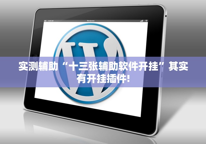 实测辅助“十三张辅助软件开挂	”其实有开挂插件!