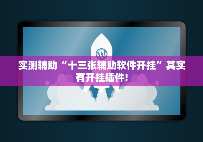 实测辅助“十三张辅助软件开挂”其实有开挂插件!