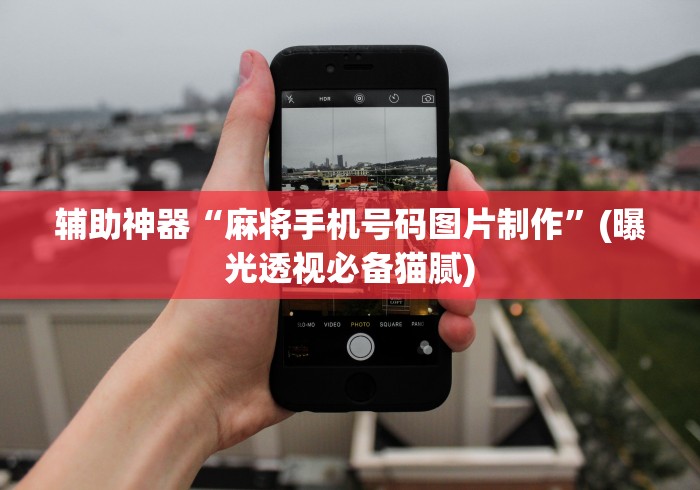 辅助神器“麻将手机号码图片制作”(曝光透视必备猫腻)