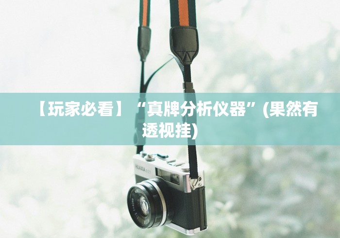 【玩家必看】“真牌分析仪器”(果然有透视挂)