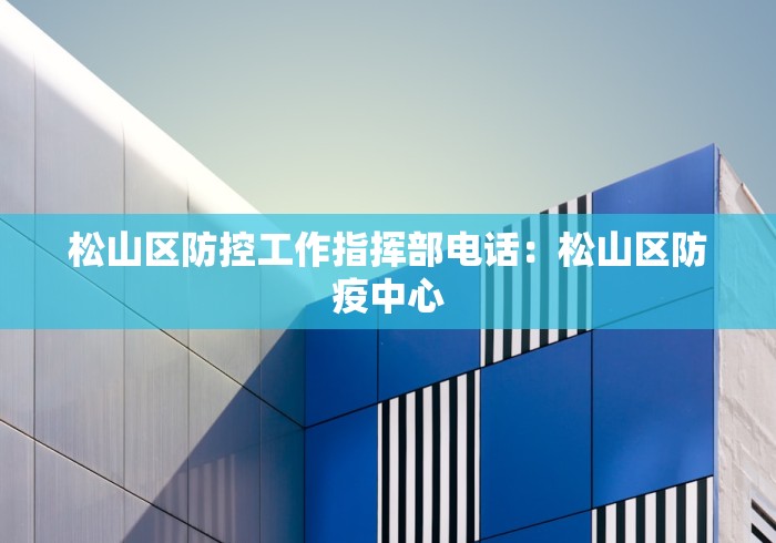 松山区防控工作指挥部电话：松山区防疫中心