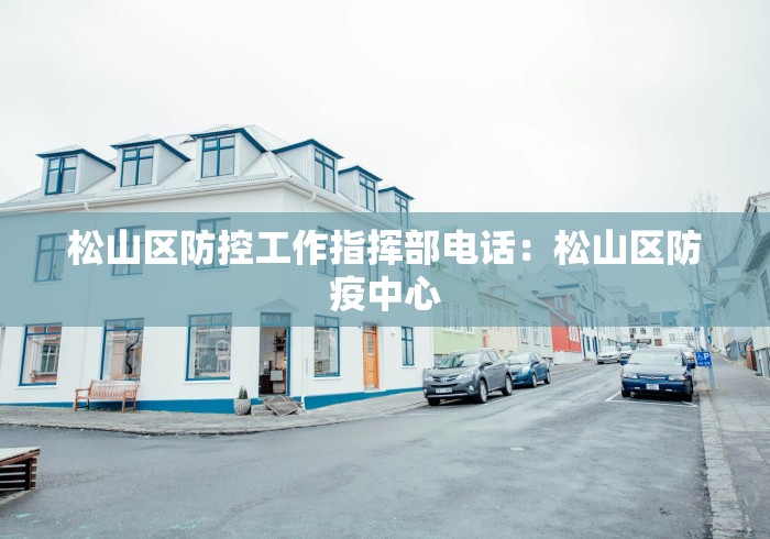 松山区防控工作指挥部电话：松山区防疫中心
