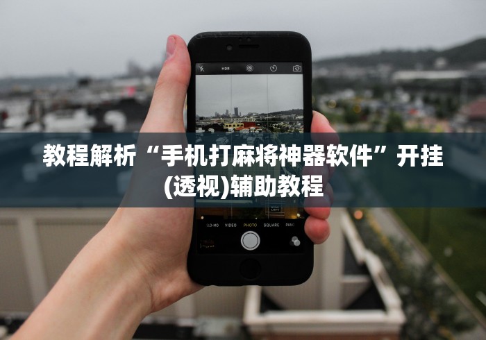 教程解析“手机打麻将神器软件”开挂(透视)辅助教程