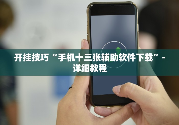 开挂技巧“手机十三张辅助软件下载”-详细教程
