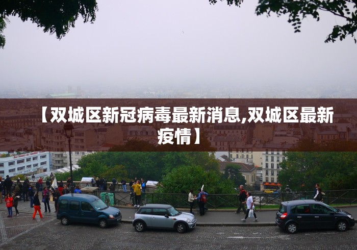 【双城区新冠病毒最新消息,双城区最新疫情】