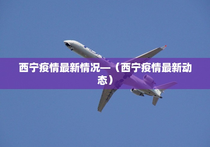 西宁疫情最新情况—（西宁疫情最新动态）