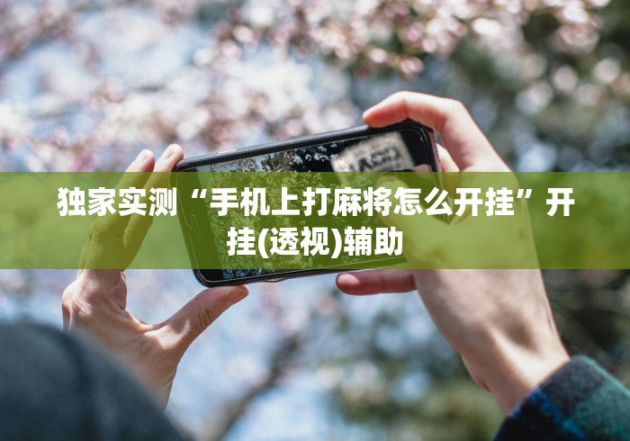 独家实测“手机上打麻将怎么开挂”开挂(透视)辅助