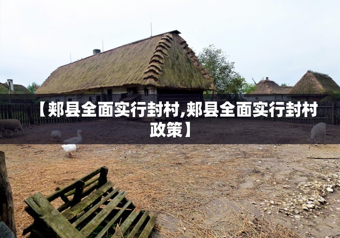 【郏县全面实行封村,郏县全面实行封村政策】
