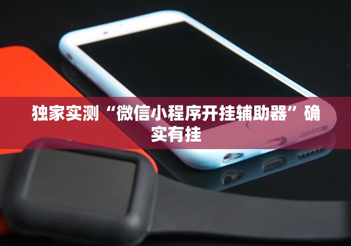独家实测“微信小程序开挂辅助器	”确实有挂