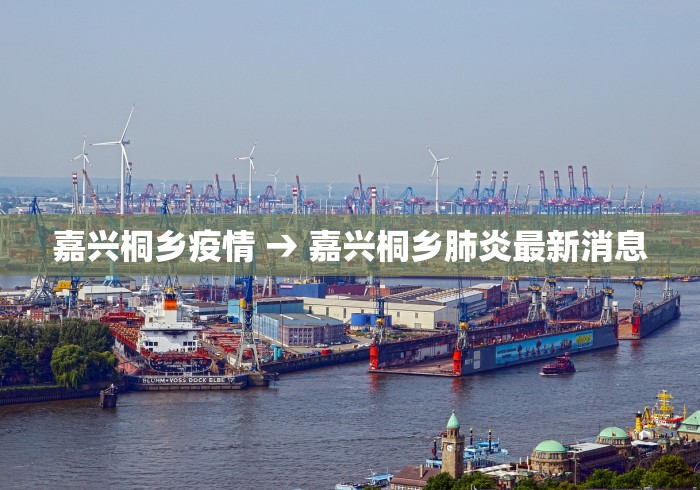 嘉兴桐乡疫情 → 嘉兴桐乡肺炎最新消息
