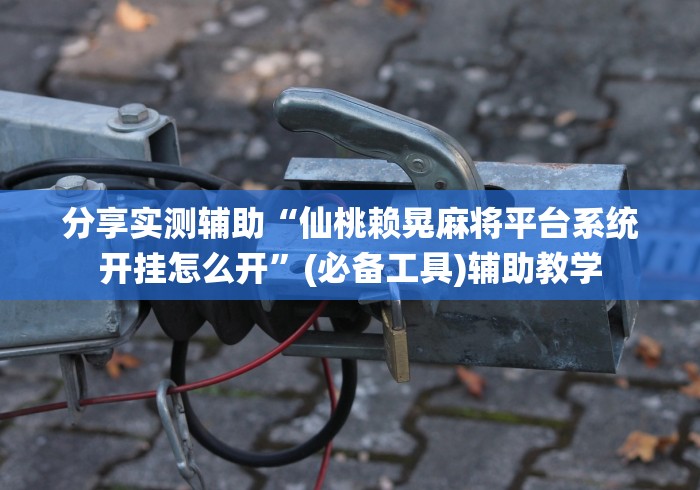分享实测辅助“微乐麻将自建房输赢规律”详细开挂安装教程