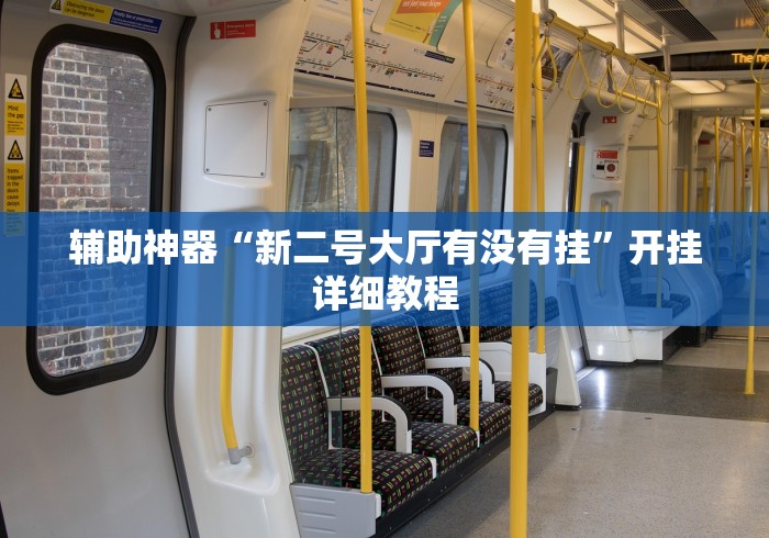 辅助神器“新二号大厅有没有挂”开挂详细教程