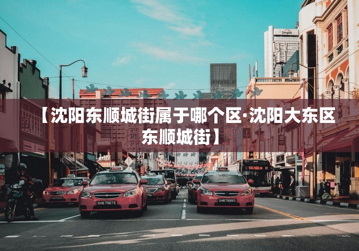 【沈阳东顺城街属于哪个区·沈阳大东区东顺城街】