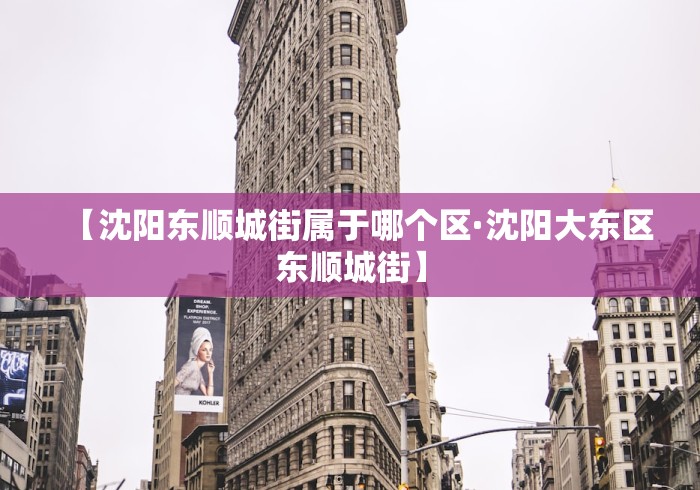 【沈阳东顺城街属于哪个区·沈阳大东区东顺城街】