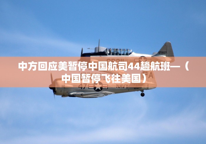 中方回应美暂停中国航司44趟航班—（中国暂停飞往美国）