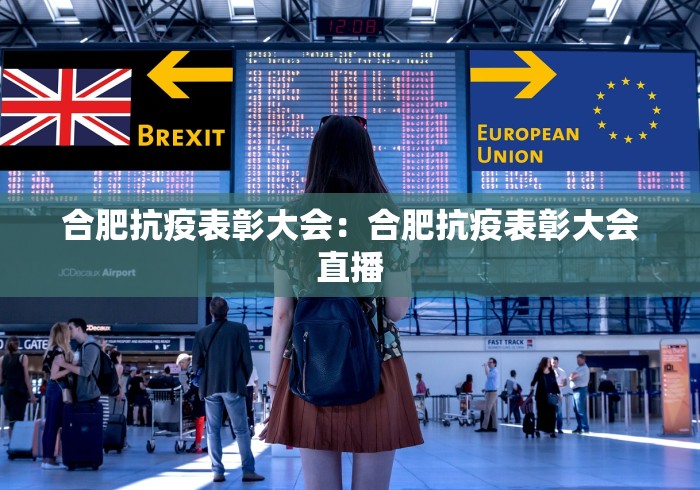 合肥抗疫表彰大会：合肥抗疫表彰大会直播